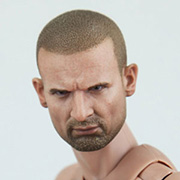 Caucasian Male TrueType Body - Hot Toys ttm16