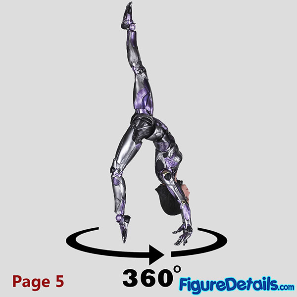  20